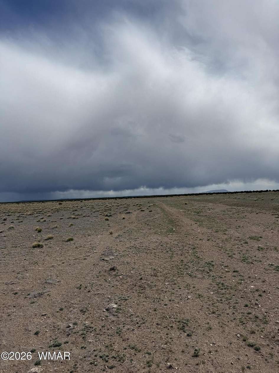 37.2 Acres of Recreational & Residential Land for Sale in St. Johns, Arizona