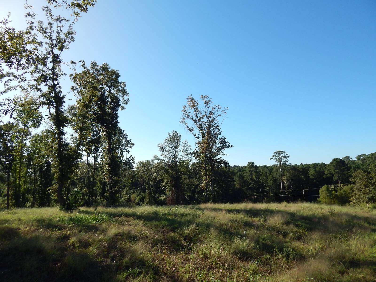 0.56 Acres of Residential Land for Sale in Many, Louisiana