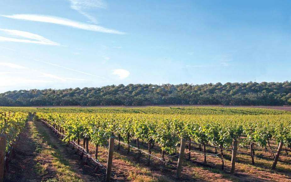 22.3 Acres of Improved Agricultural Land for Auction in Cape May Court House, New Jersey