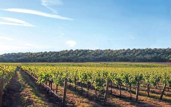 22.3 Acres of Improved Agricultural Land for Auction in Cape May Court House, New Jersey