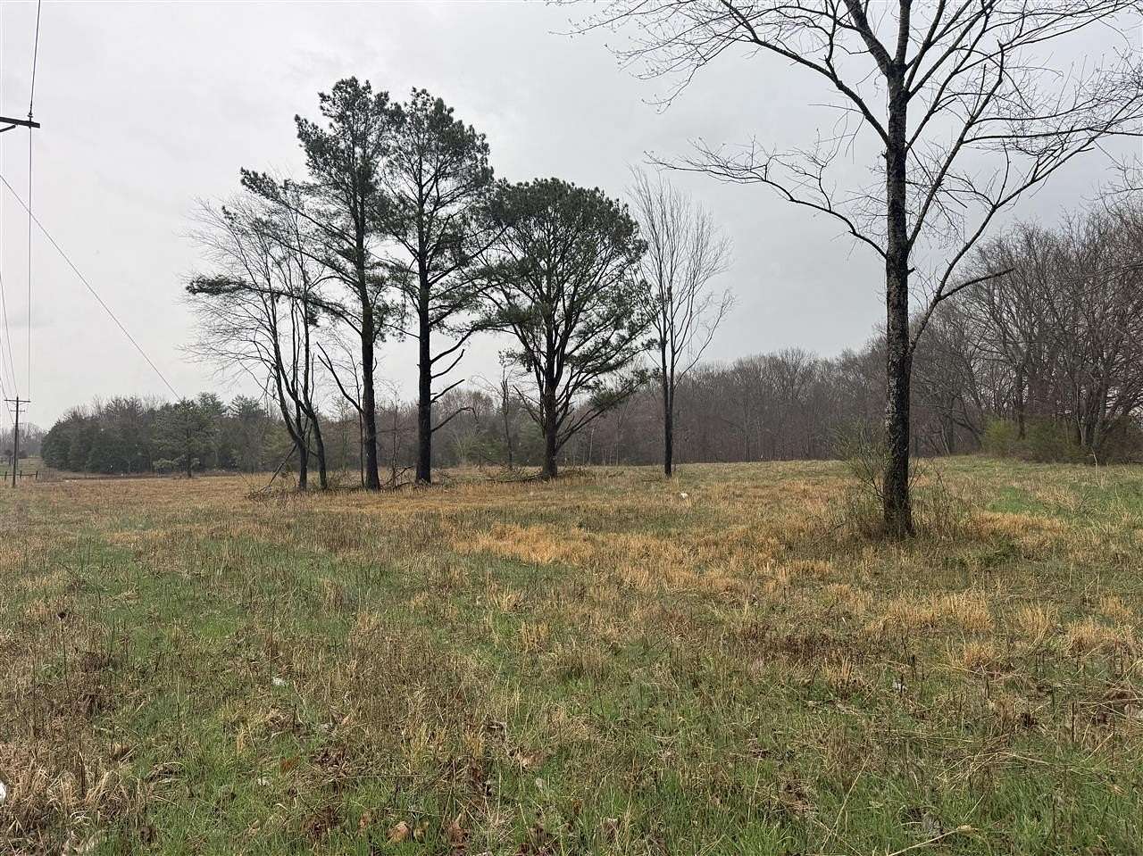 5 Acres of Residential Land for Sale in Scottsville, Kentucky