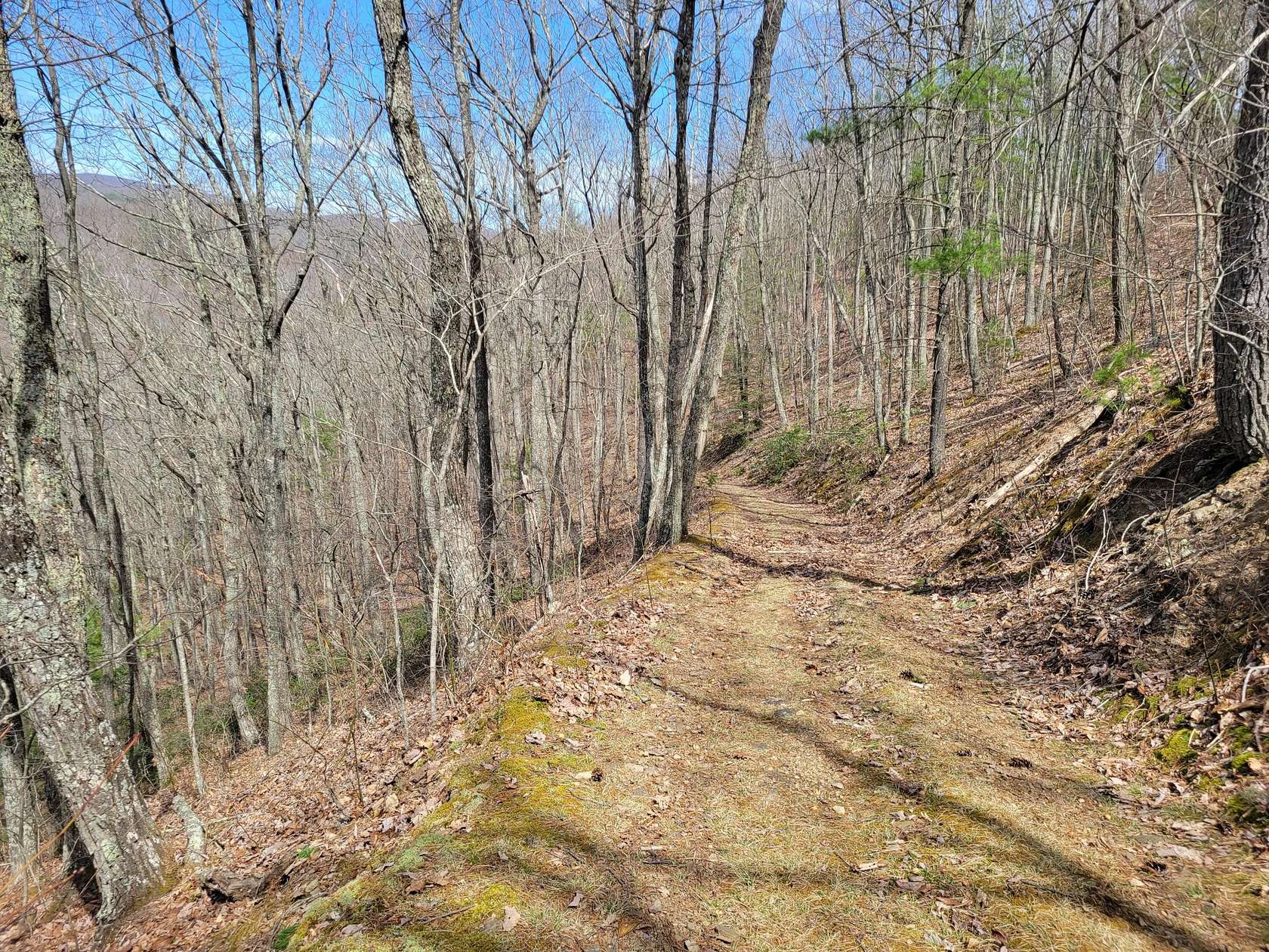 16.3 Acres of Recreational Land for Sale in White Sulphur Springs, West Virginia