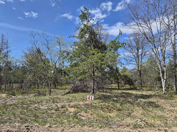 0.5 Acres of Residential Land for Sale in Grayling, Michigan