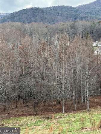 1.58 Acres of Residential Land for Sale in Cleveland, Georgia