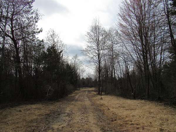 5.5 Acres of Residential Land for Sale in Twin Lake, Michigan