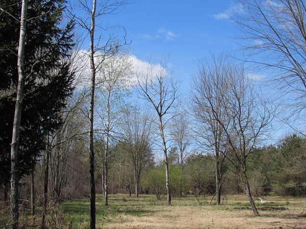 5.5 Acres of Residential Land for Sale in Twin Lake, Michigan