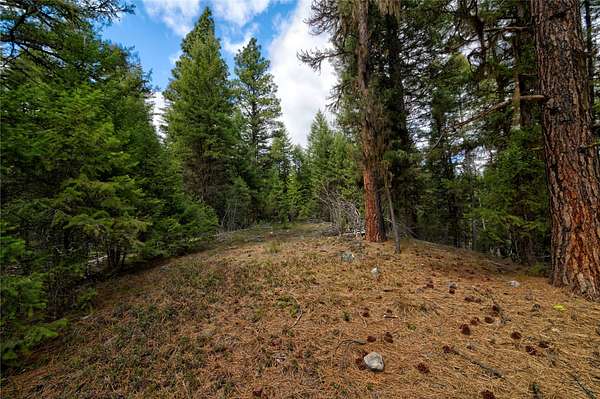 25.8 Acres of Recreational Land for Sale in Darby, Montana