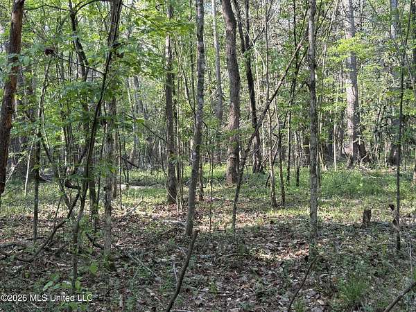 216 Acres of Recreational & Residential Land for Sale in Brandon, Mississippi