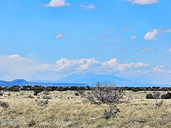 36.4 Acres of Recreational & Residential Land for Sale in Heber, Arizona