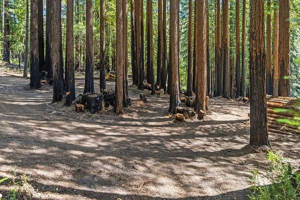 1.84 Acres of Residential Land for Sale in Boulder Creek, California