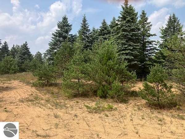 20.3 Acres of Land for Sale in Buckley, Michigan