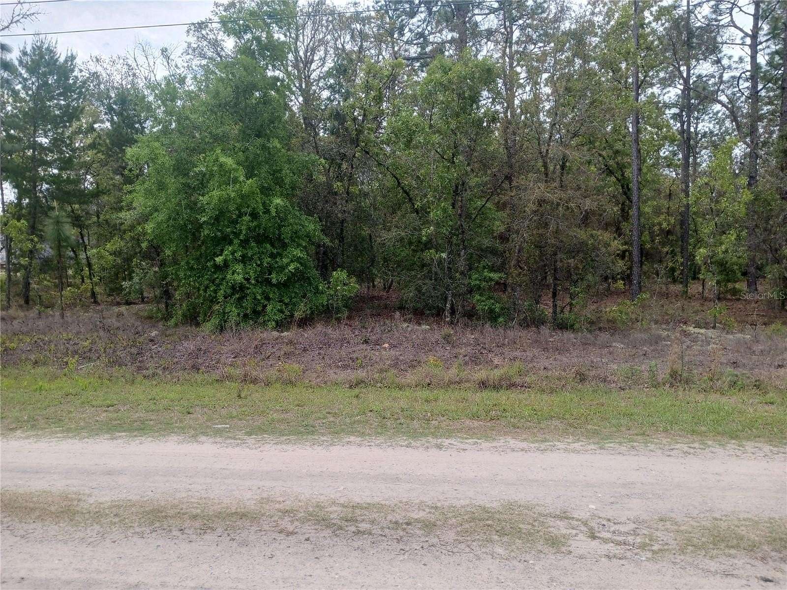 1.16 Acres of Residential Land for Sale in Ocala, Florida