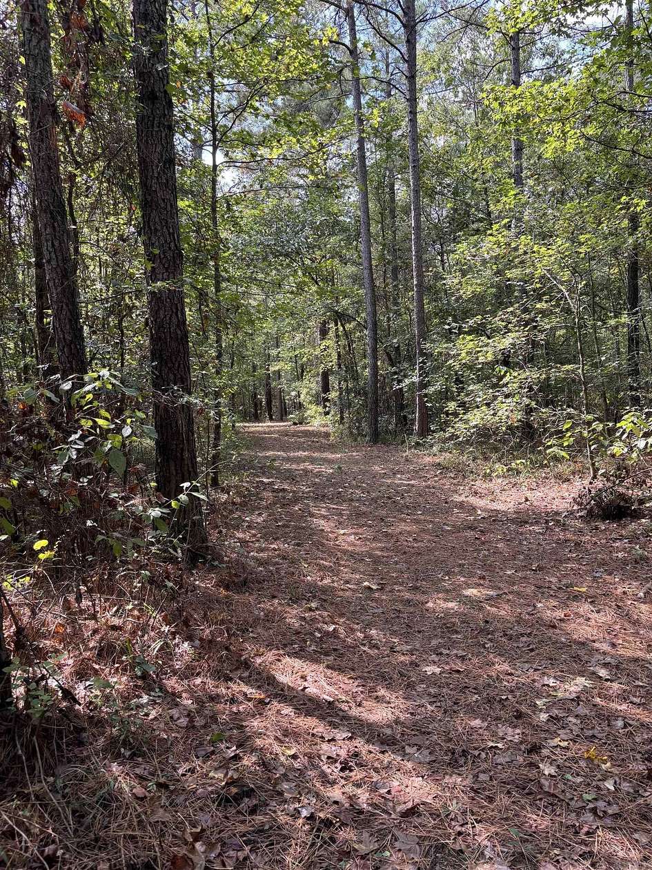 80 Acres of Recreational Land for Sale in Star City, Arkansas