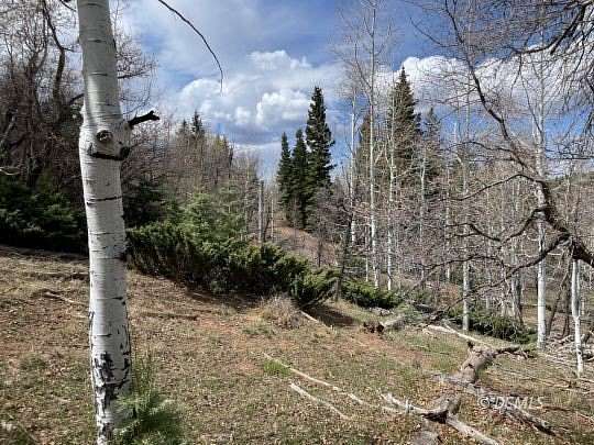 0.61 Acres of Residential Land for Sale in Duck Creek Village, Utah