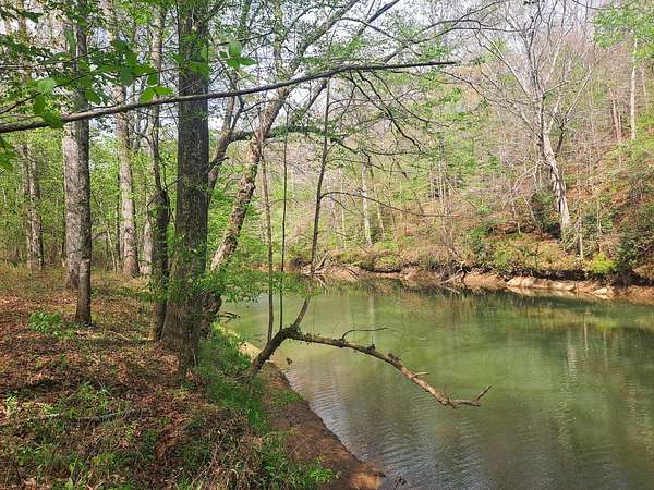 52 Acres of Recreational Land for Sale in Carbon Hill, Alabama