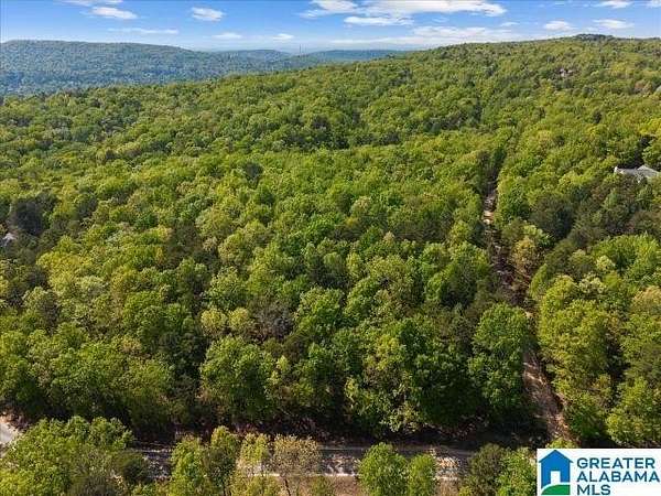 31 Acres of Recreational & Residential Land for Sale in Pinson, Alabama