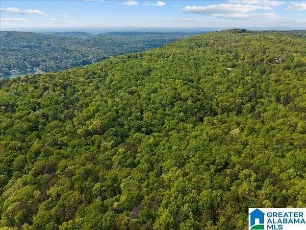 31 Acres of Recreational & Residential Land for Sale in Pinson, Alabama