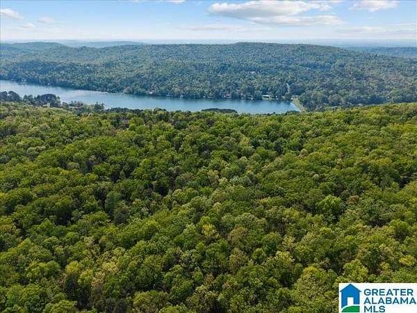 31 Acres of Recreational & Residential Land for Sale in Pinson, Alabama