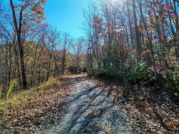 57.6 Acres of Land for Sale in Young Harris, Georgia