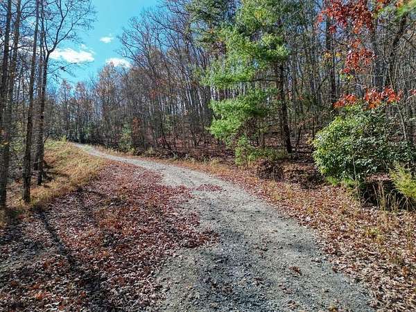 57.6 Acres of Land for Sale in Young Harris, Georgia
