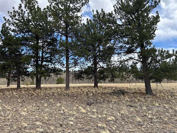 4 Acres of Residential Land for Sale in Hartsel, Colorado