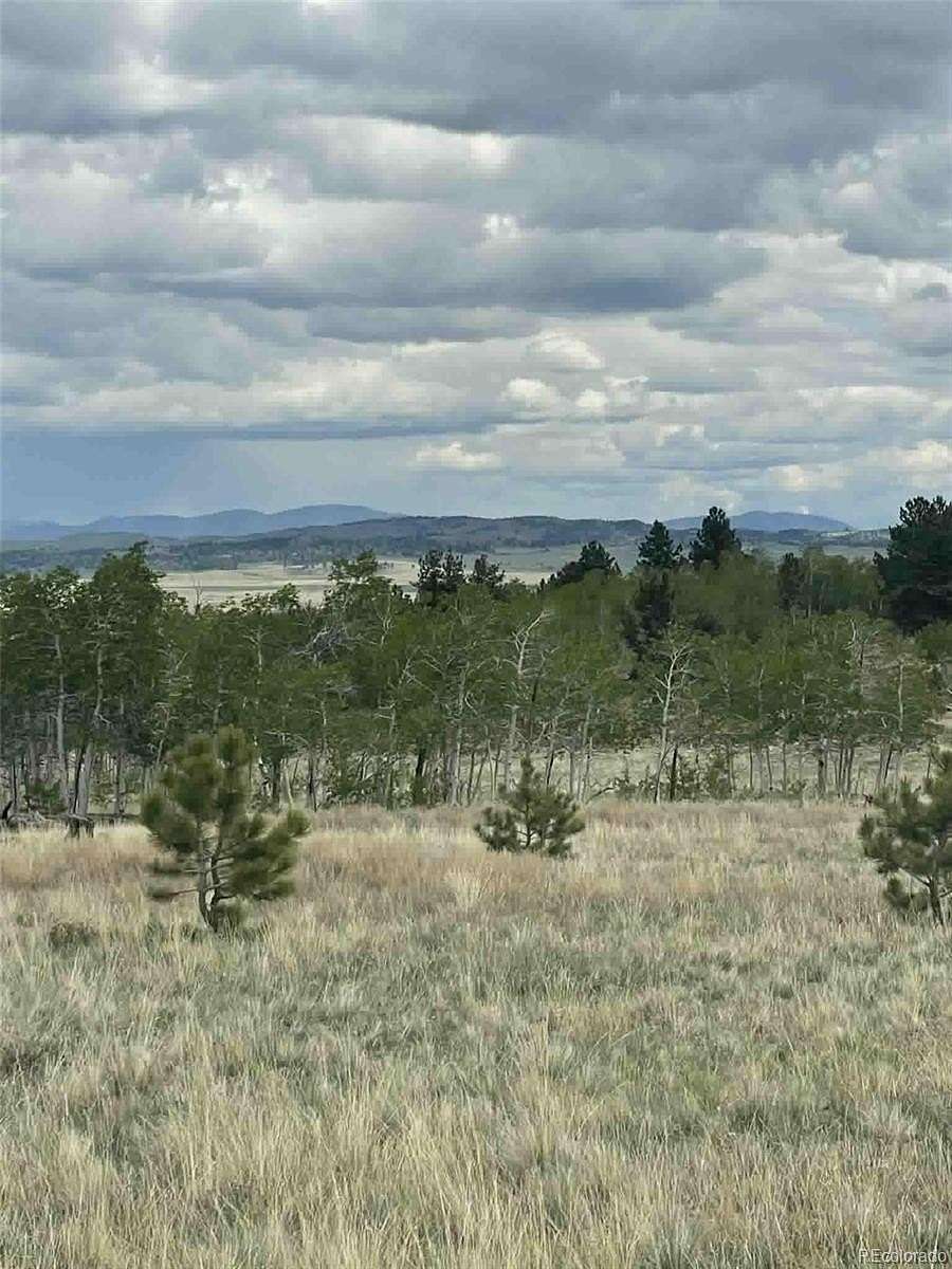 2.5 Acres of Residential Land for Sale in Hartsel, Colorado