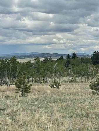 2.5 Acres of Residential Land for Sale in Hartsel, Colorado