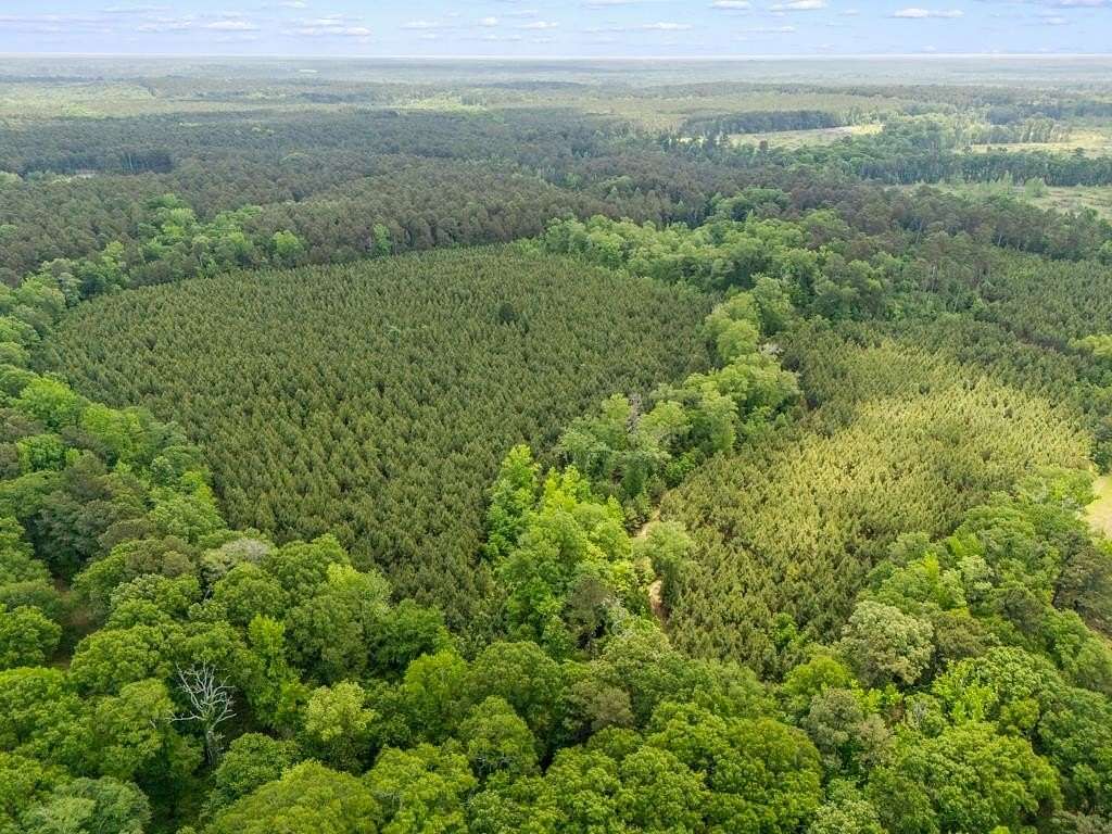 68.4 Acres of Recreational & Residential Land for Sale in Karnack, Texas