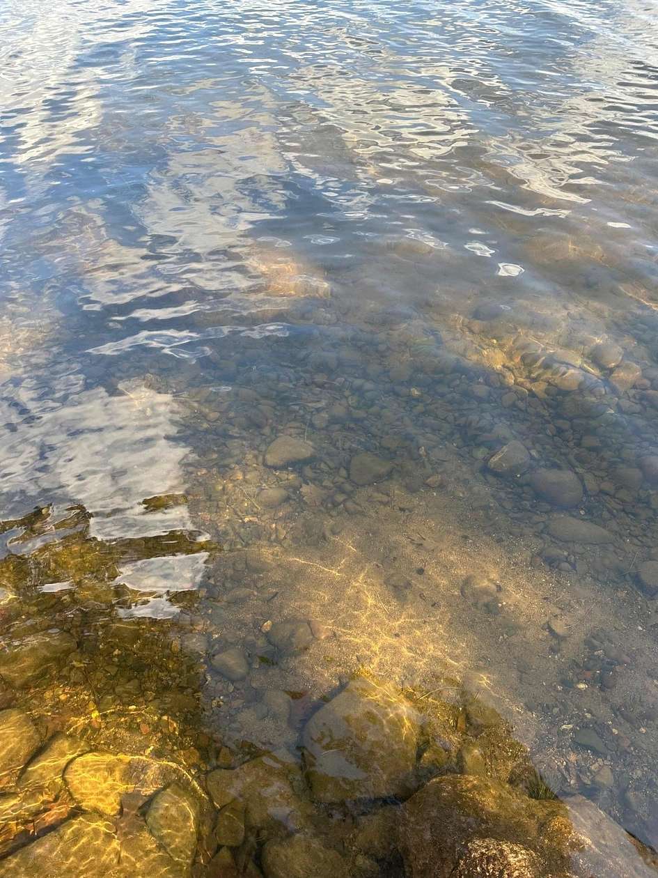 21.7 Acres of Recreational Land for Sale in Aitkin, Minnesota