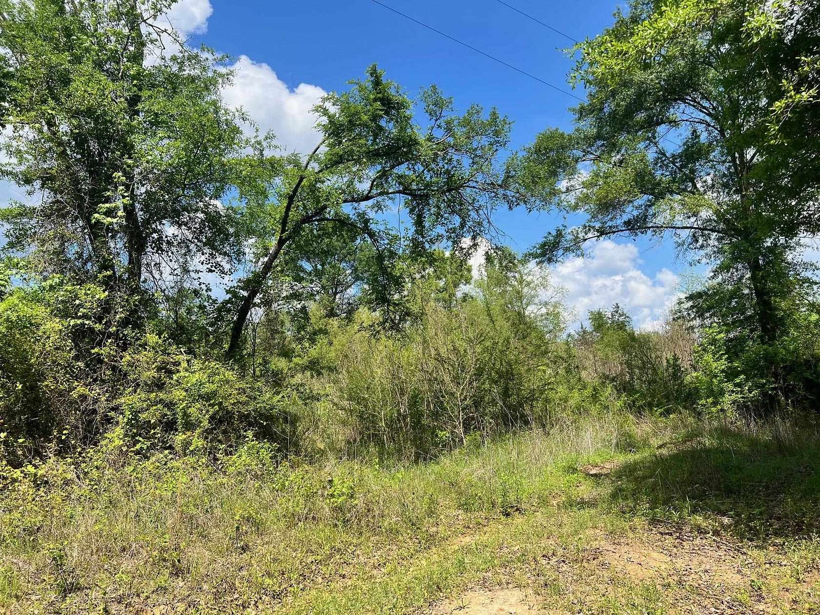 46.6 Acres of Land for Sale in Center, Texas