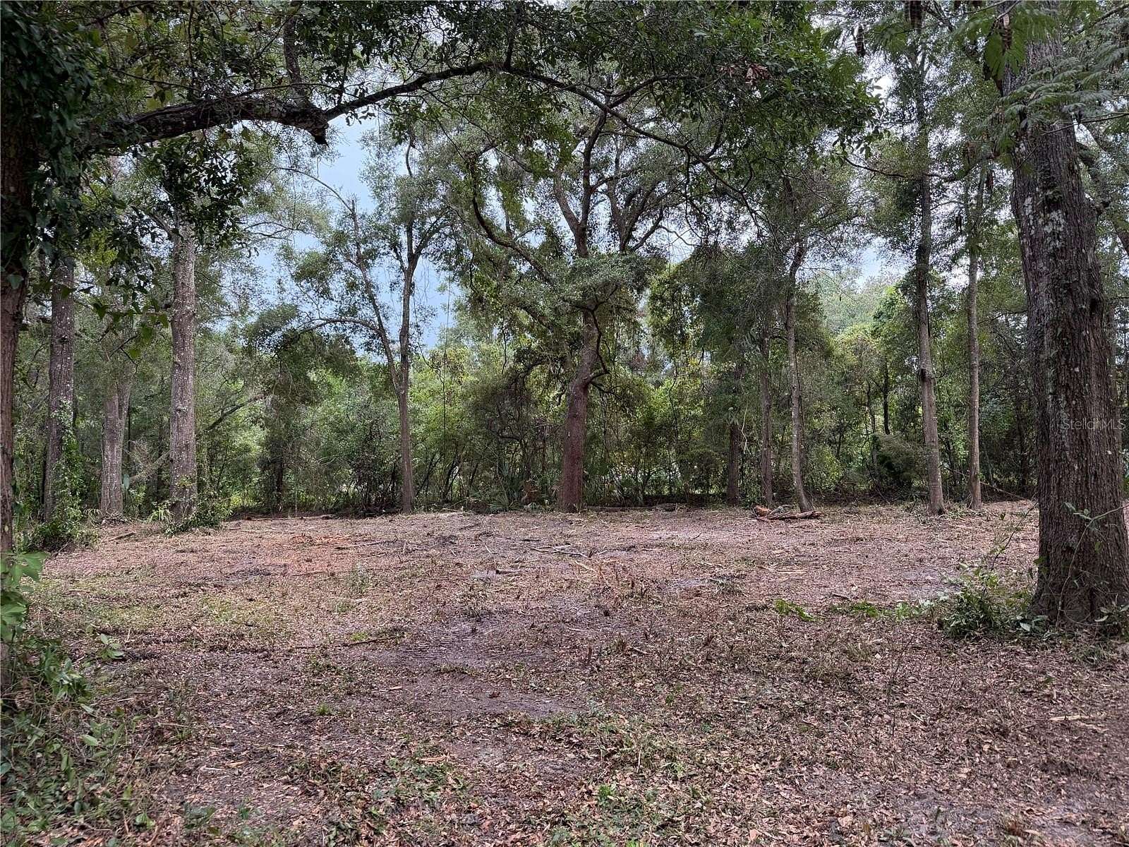 0.26 Acres of Residential Land for Sale in Chiefland, Florida