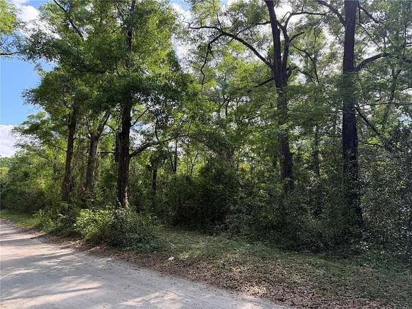 0.26 Acres of Residential Land for Sale in Chiefland, Florida