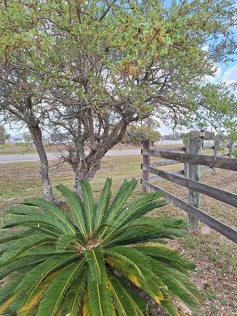 14.2 Acres of Land for Sale in Rockport, Texas