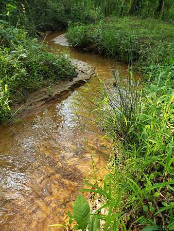 10 Acres of Land for Sale in Lindale, Texas