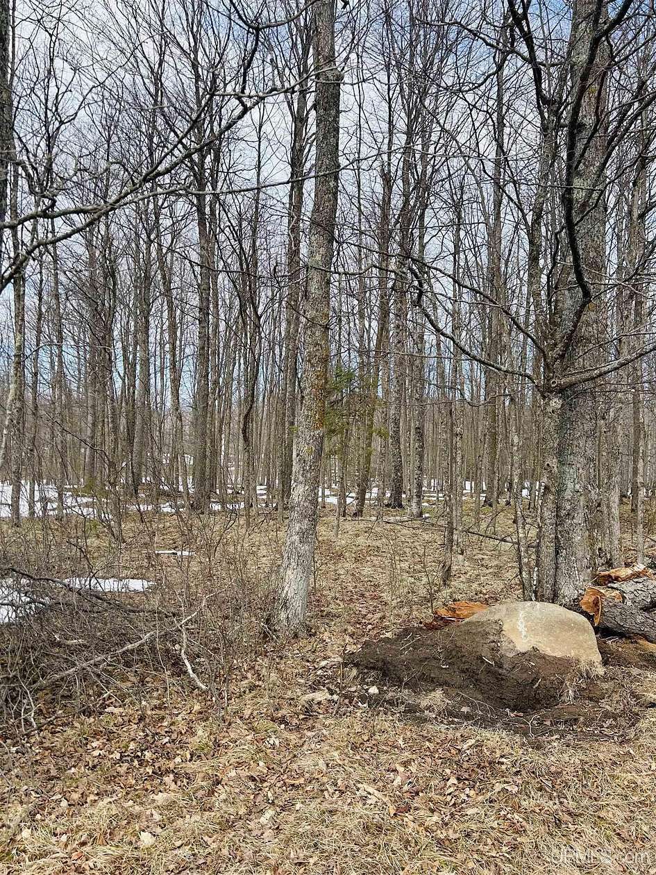 5.82 Acres of Land for Sale in Hardwood, Michigan