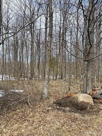 5.82 Acres of Land for Sale in Hardwood, Michigan