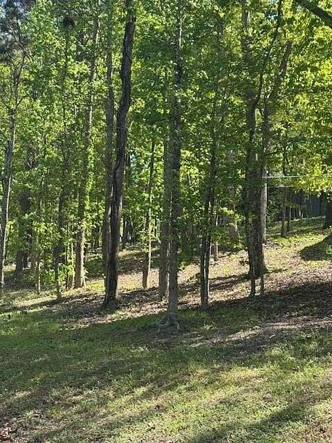 0.5 Acres of Residential Land for Sale in Warm Springs, Georgia