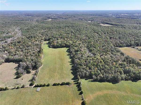 87 Acres of Land for Sale in Glen Allen, Missouri