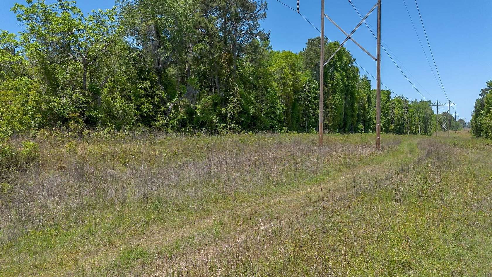 31 Acres of Land for Sale in Havana, Florida
