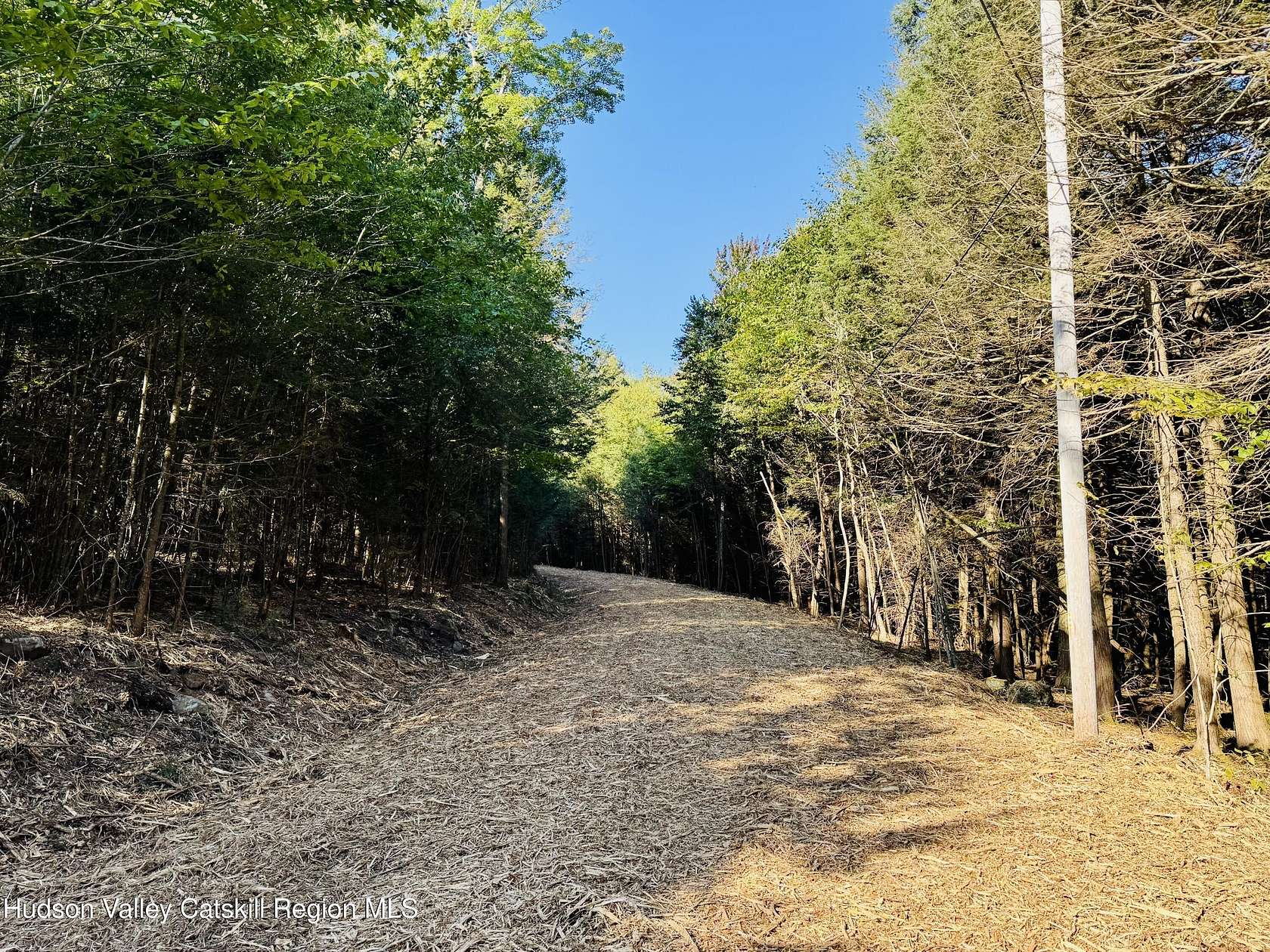 9.1 Acres of Land for Sale in Elka Park, New York