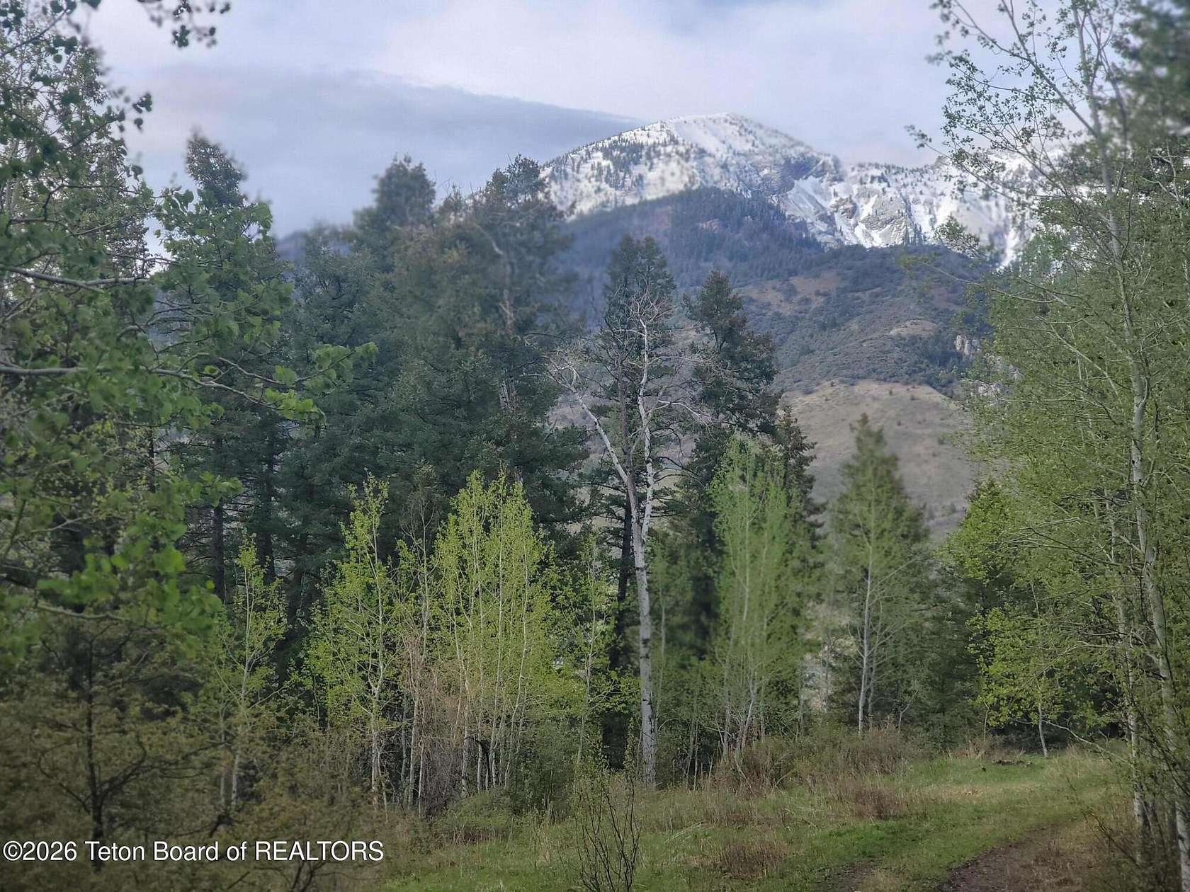 2.7 Acres of Residential Land for Sale in Irwin, Idaho