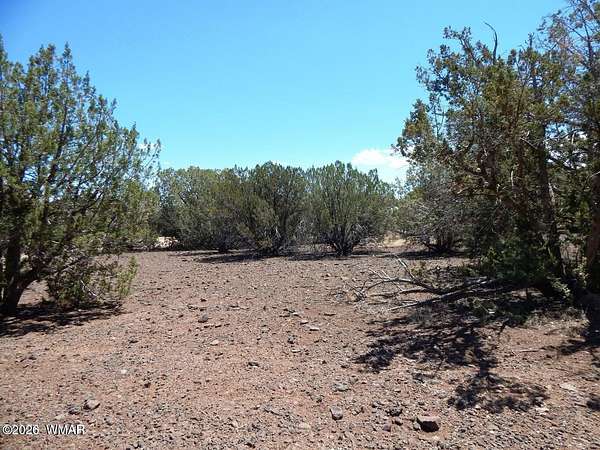 0.25 Acres of Residential Land for Sale in Show Low, Arizona