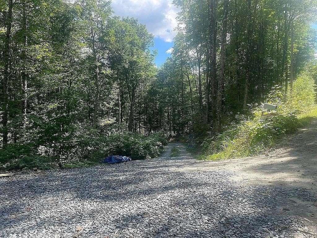 35 Acres of Land for Sale in Topsham Town, Vermont