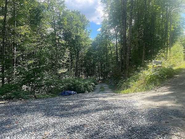 35 Acres of Land for Sale in Topsham Town, Vermont