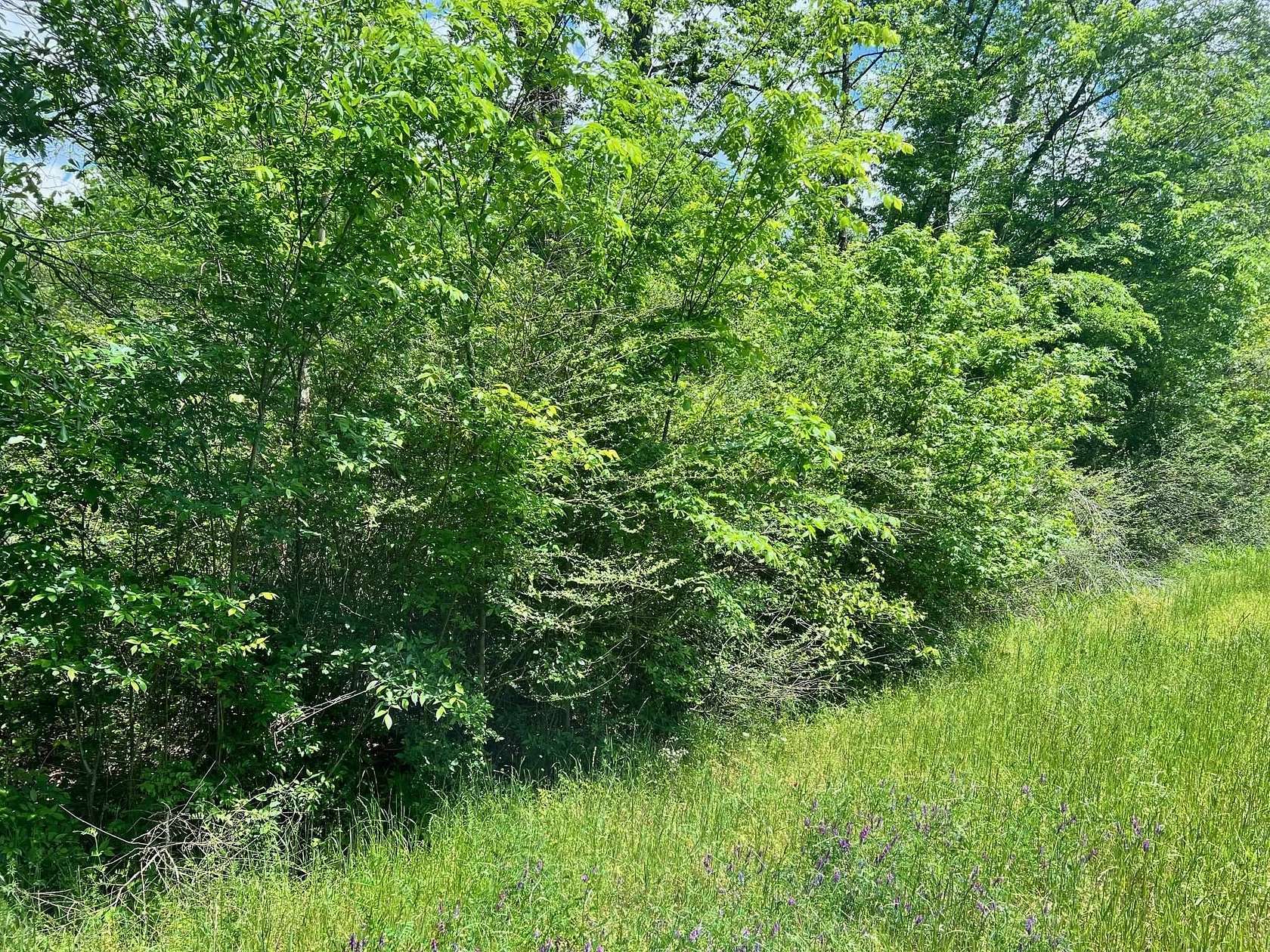 11.8 Acres of Recreational Land for Sale in Center, Texas