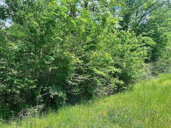 11.8 Acres of Recreational Land for Sale in Center, Texas