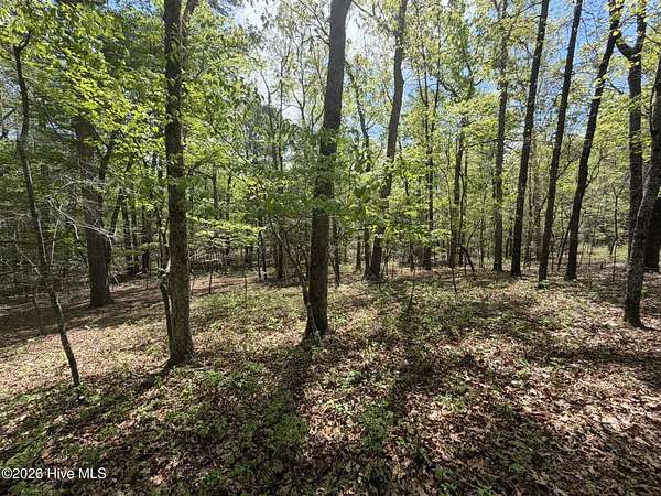 1.39 Acres of Land for Sale in Seven Lakes, North Carolina