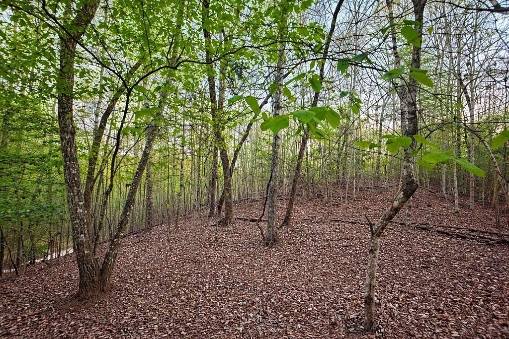 1.74 Acres of Land for Sale in Blue Ridge, Georgia