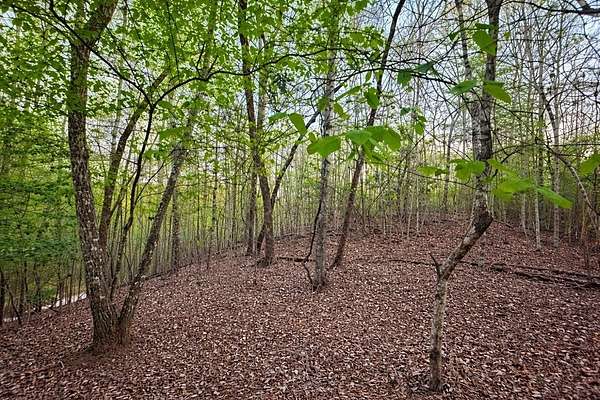 1.74 Acres of Land for Sale in Blue Ridge, Georgia