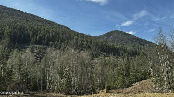 10 Acres of Recreational & Residential Land for Sale in Bonners Ferry, Idaho